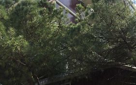 Veniceapartment公寓